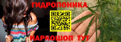 трава Камышлов