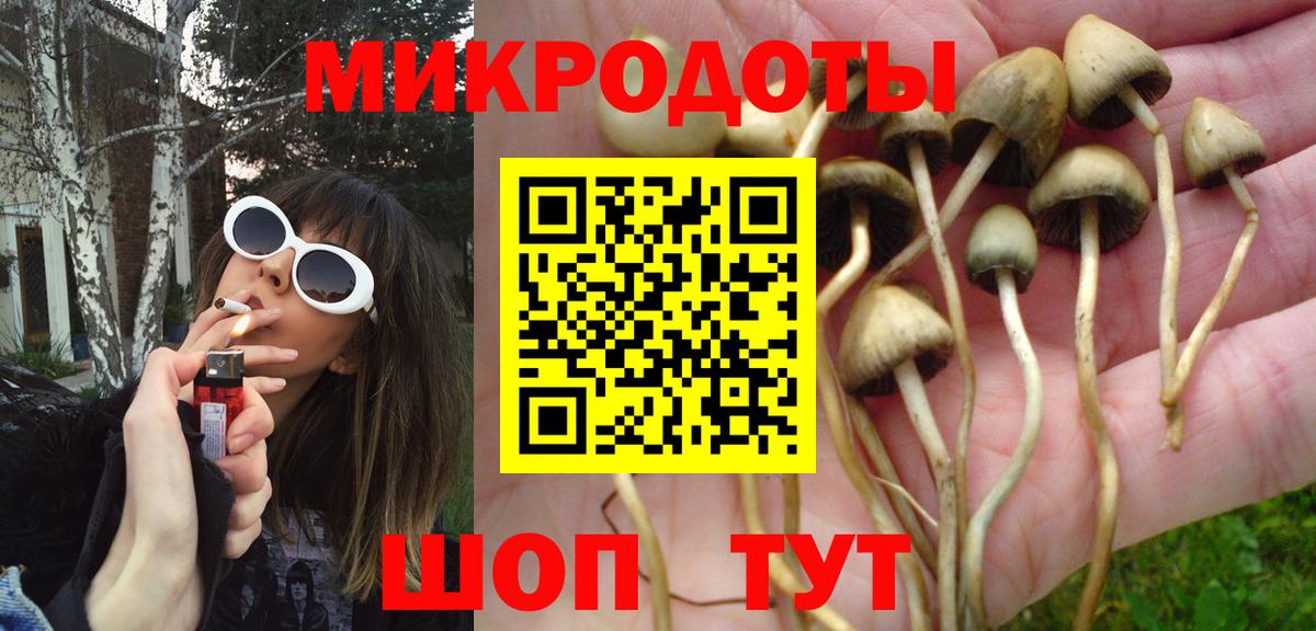 Галлюциногенные грибы MAGIC MUSHROOMS  Вход с VPN  Лабинск 
